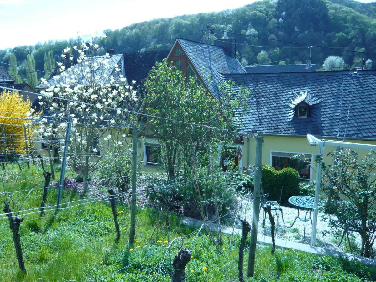 Pension am Weinberg Mesenich Exterior foto